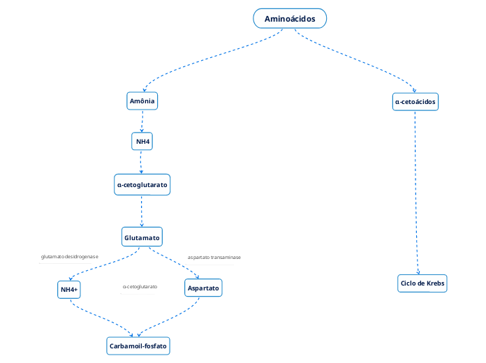 Aminoácidos Mind Map 6606